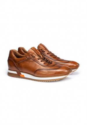 LLOYD BLAKE Sportschuhe Herren Braun | CWJ918346