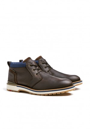 LLOYD VEGAS Stiefeletten Herren Braun | ASD439582