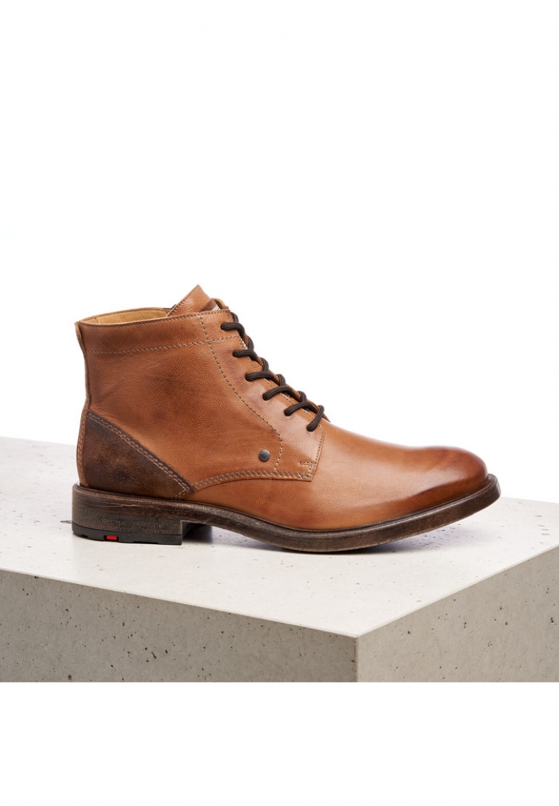 LLOYD DWAYN Stiefeletten Herren Braun | IXO528709