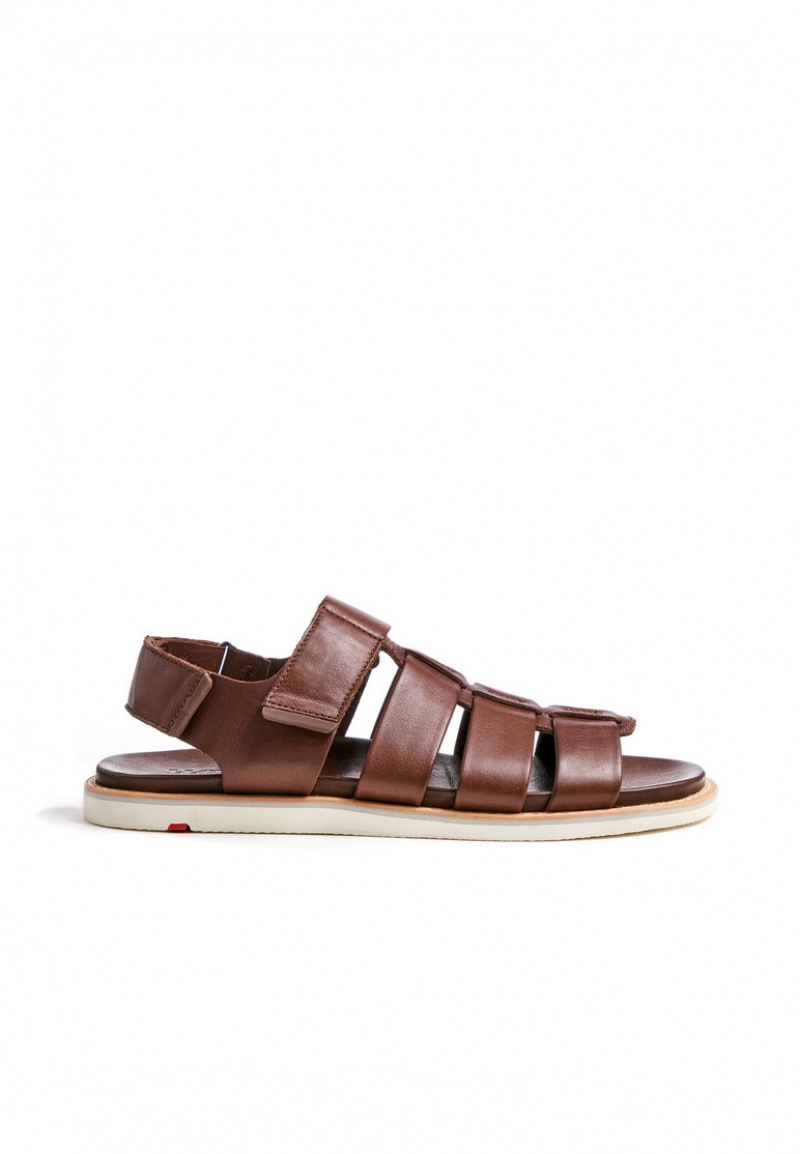 LLOYD ELIMAR Sandalen Herren Braun | VLX710625