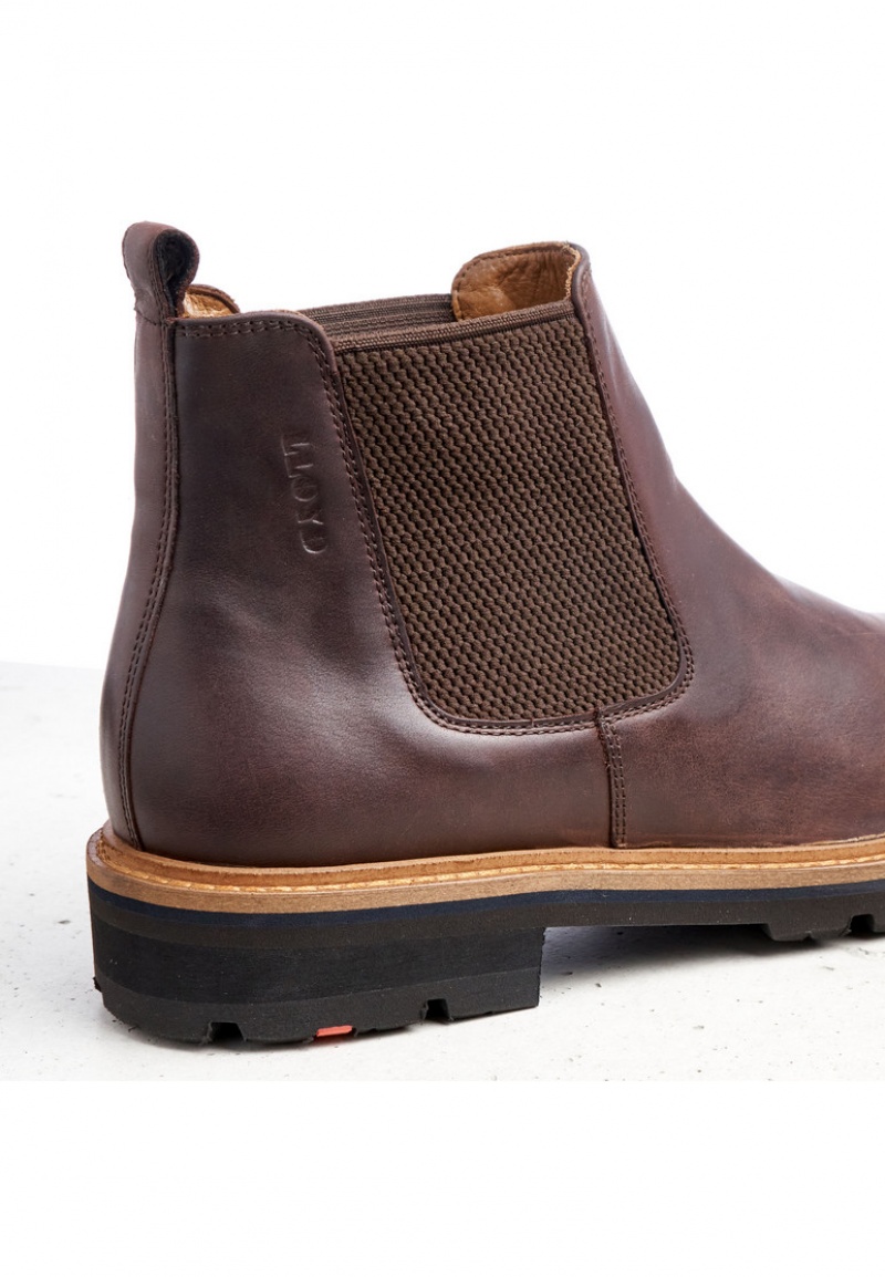 LLOYD FEDOR Stiefeletten Herren Braun | PUJ870269