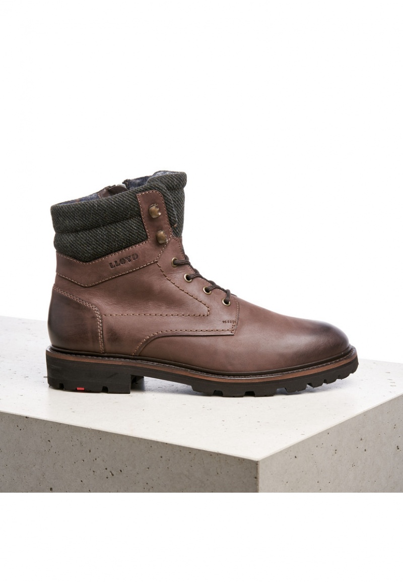 LLOYD FLAVIO Stiefeletten Herren Braun | CQB932084