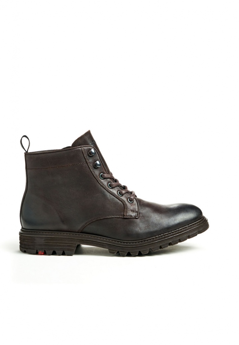 LLOYD HALIFAX Stiefeletten Herren Braun | LVS648307