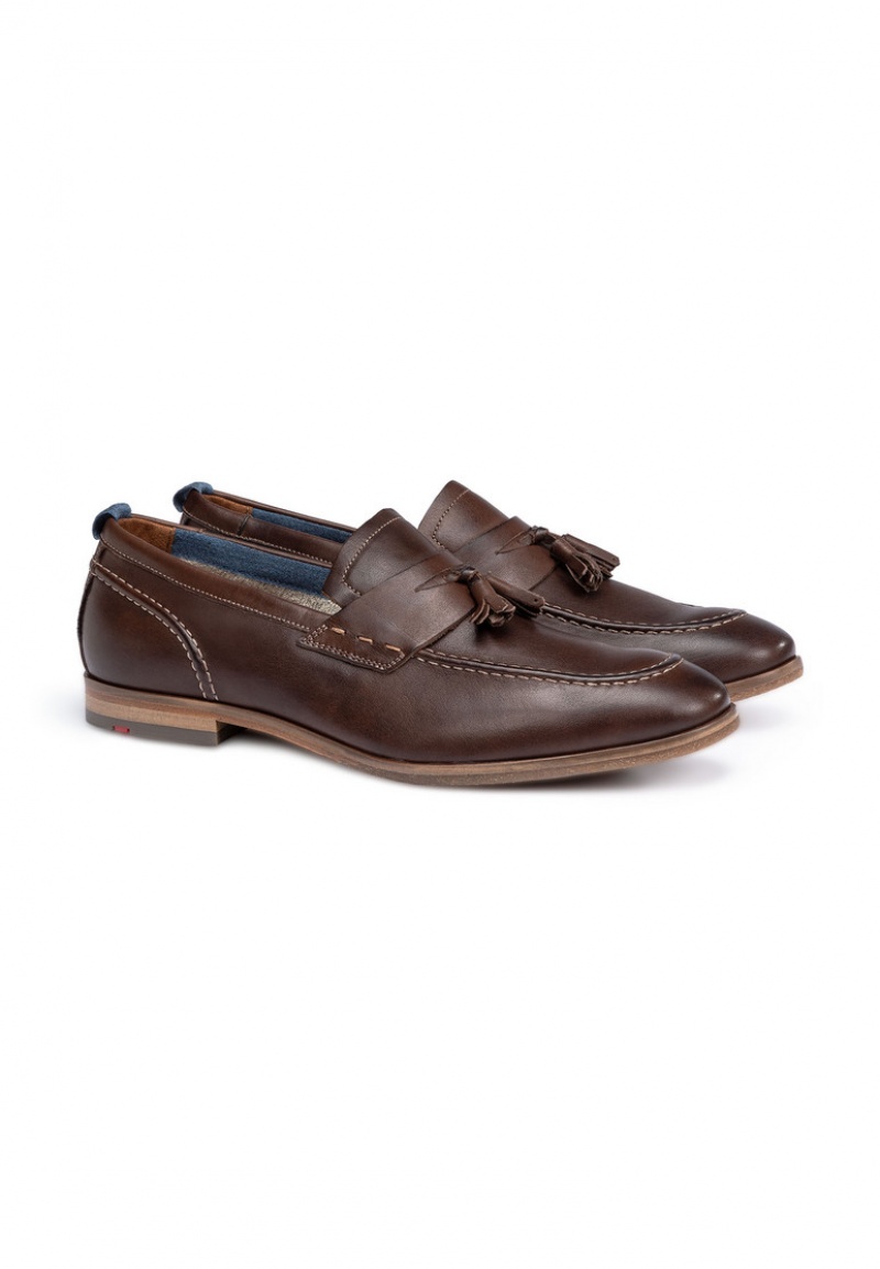 LLOYD LEANDRO Smart shoes Herren Braun | JLA824693