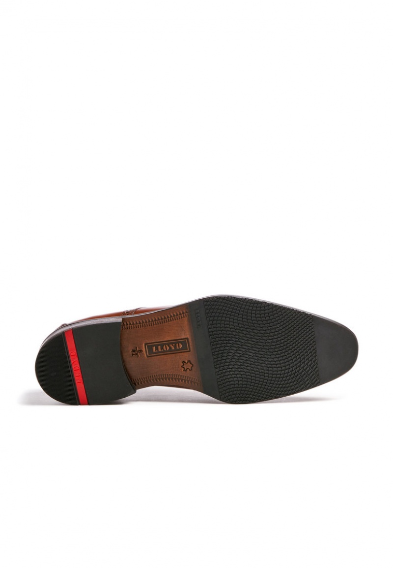 LLOYD LUCIEN Low shoes Herren Braun | XWF450873