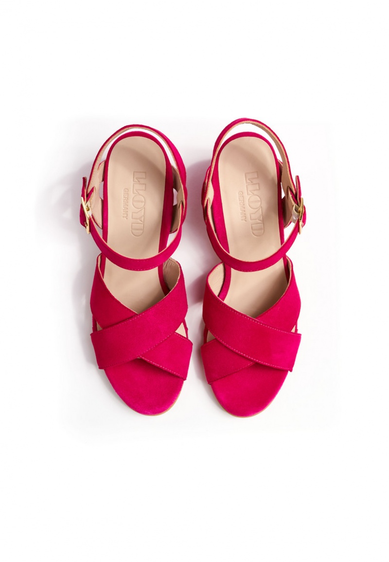 LLOYD SANDALS Sandalen Damen Rosa | JAY130472