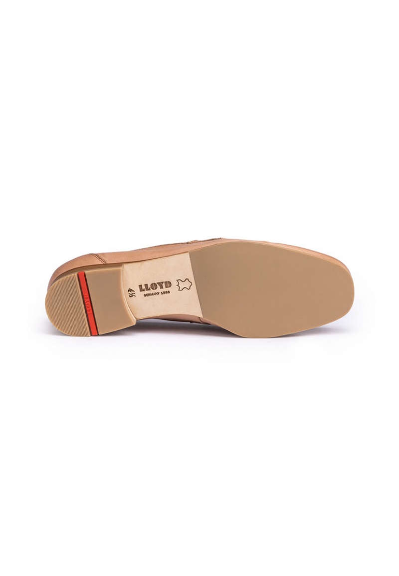 LLOYD SLIPPER Smart shoes Damen Braun | QCB350862