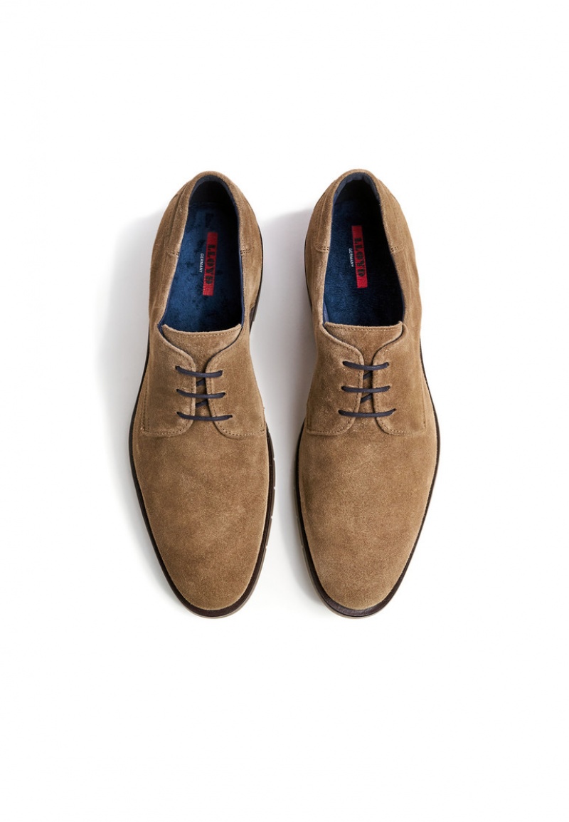 LLOYD TAMBO Smart shoes Herren Braun | NGO208376