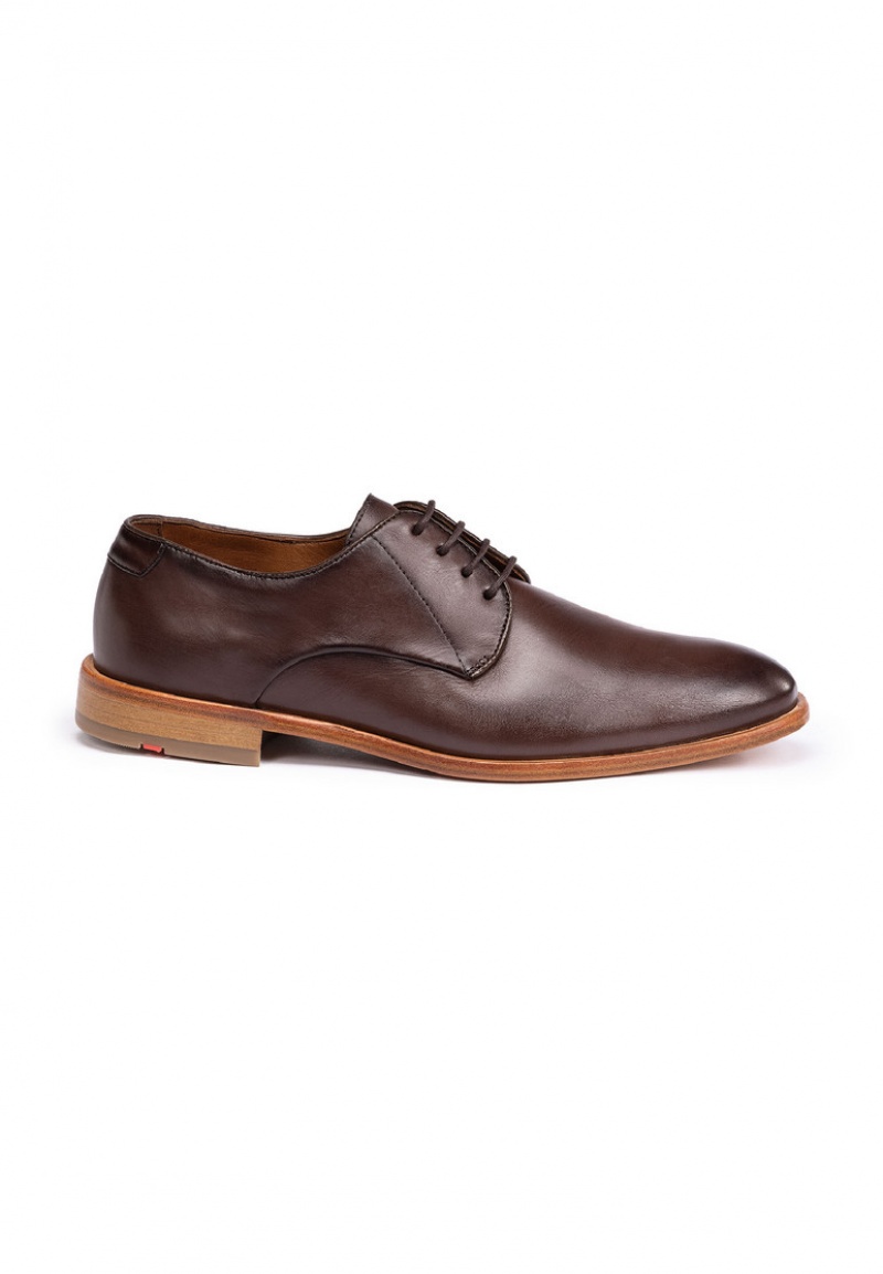 LLOYD TERRY Smart shoes Herren Braun | XGW054369