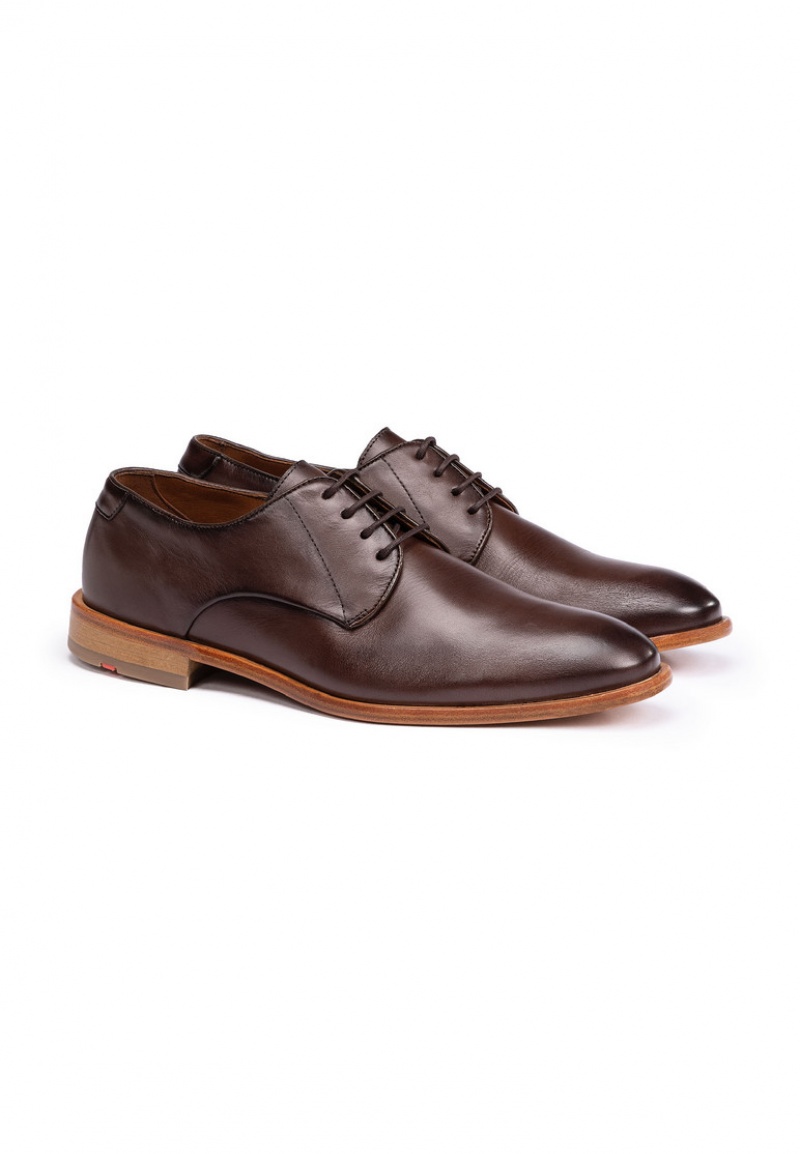 LLOYD TERRY Smart shoes Herren Braun | XGW054369