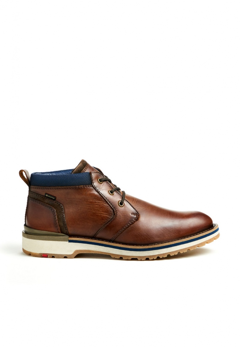 LLOYD VISBY Stiefeletten Herren Braun | AGH541639