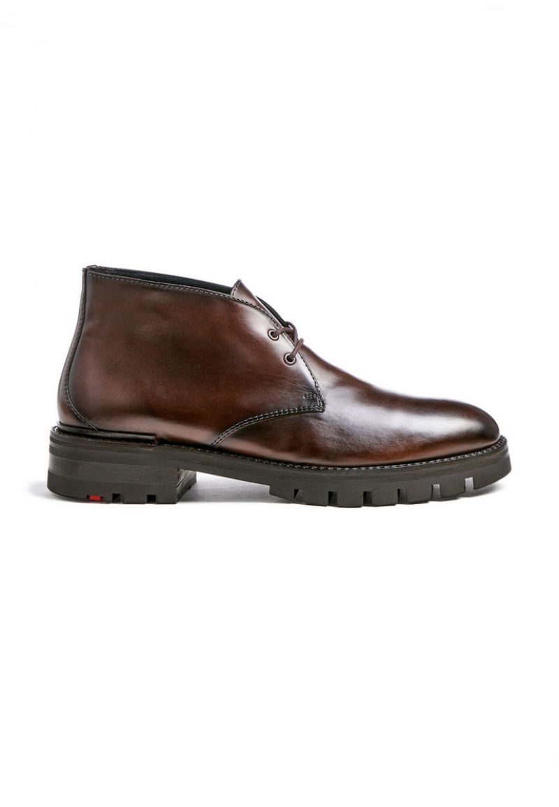 LLOYD WEBSTER Stiefeletten Herren Braun | DLF076349